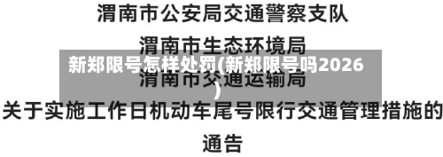 新郑限号怎样处罚(新郑限号吗2026)-第2张图片