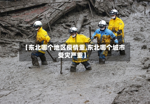 【东北哪个地区疫情重,东北哪个城市受灾严重】-第3张图片