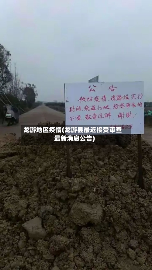 龙游地区疫情(龙游县最近接受审查最新消息公告)