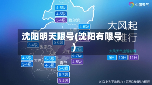 沈阳明天限号(沈阳有限号)
