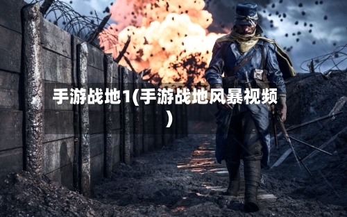 手游战地1(手游战地风暴视频)