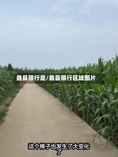 蠡县限行是/蠡县限行区域图片-第2张图片