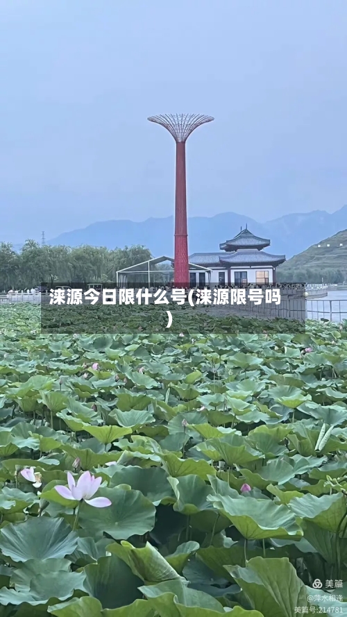 涞源今日限什么号(涞源限号吗)-第2张图片