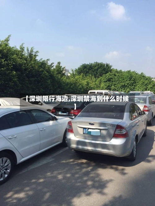 【深圳限行海边,深圳禁海到什么时候】