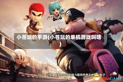 小苍玩的手游(小苍玩的单机游戏叫啥)-第3张图片