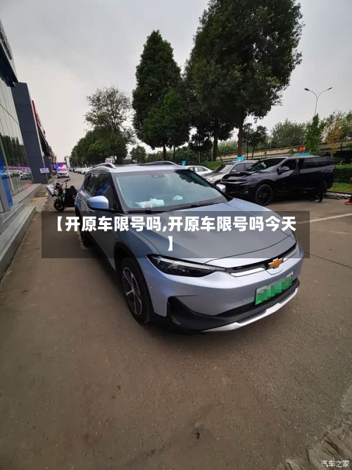 【开原车限号吗,开原车限号吗今天】-第2张图片