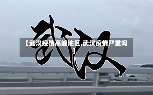 【武汉疫情高峰地区,武汉疫情严重吗】-第2张图片