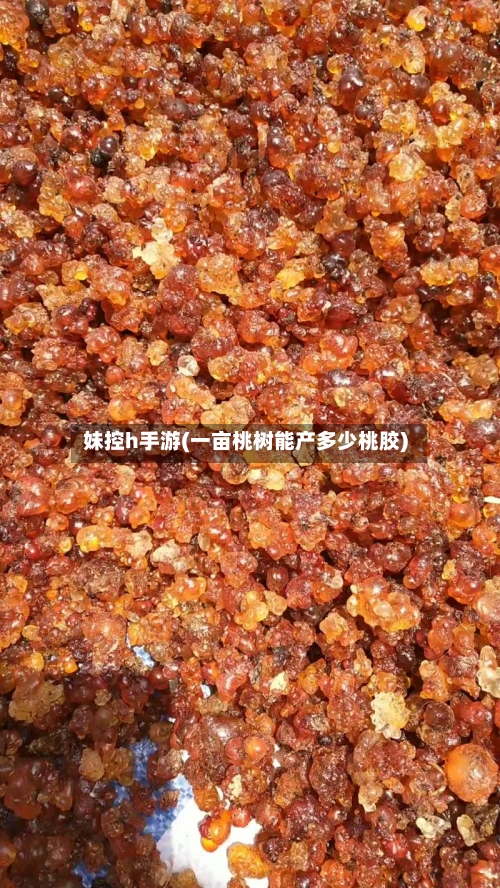 妹控h手游(一亩桃树能产多少桃胶)