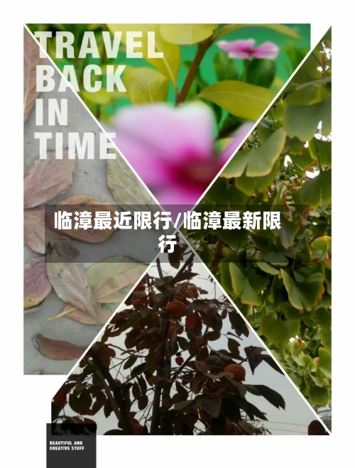 临漳最近限行/临漳最新限行-第2张图片