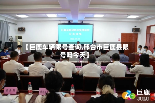【巨鹿车辆限号查询,邢台市巨鹿县限号吗今天】-第2张图片