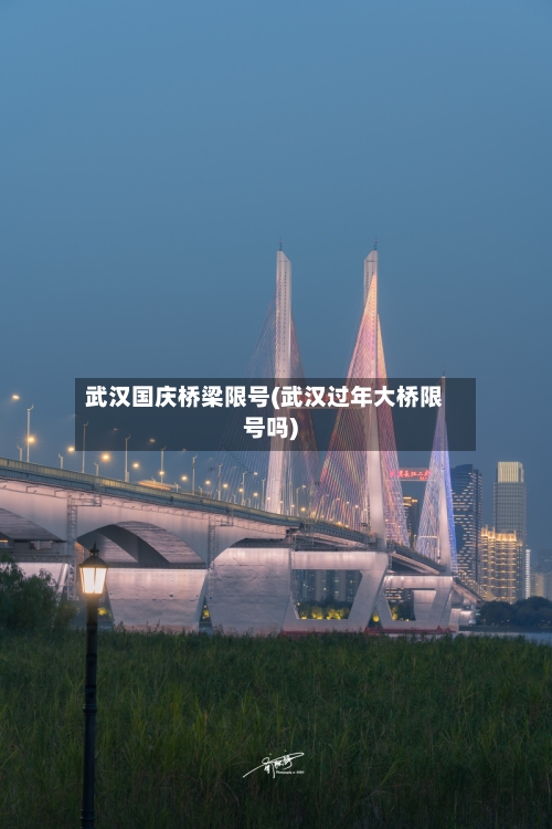 武汉国庆桥梁限号(武汉过年大桥限号吗)-第2张图片