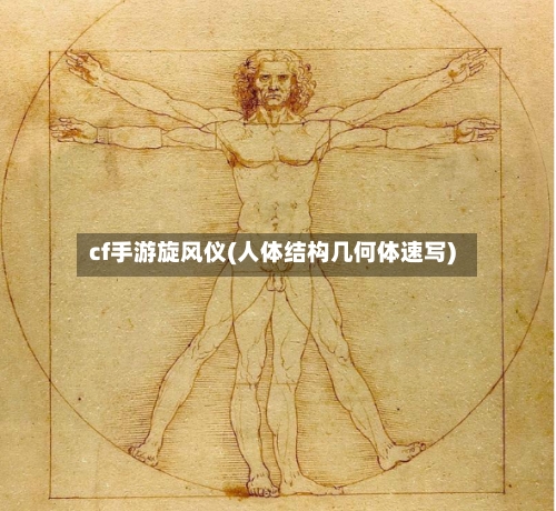 cf手游旋风仪(人体结构几何体速写)-第2张图片