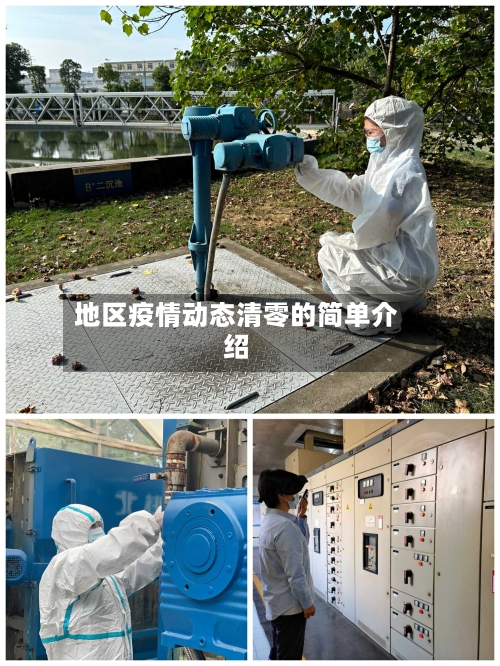 地区疫情动态清零的简单介绍-第2张图片