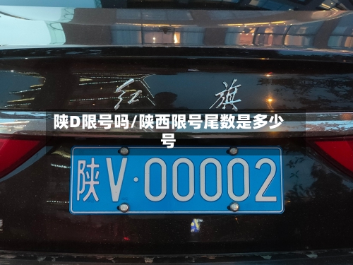 陕D限号吗/陕西限号尾数是多少号-第2张图片