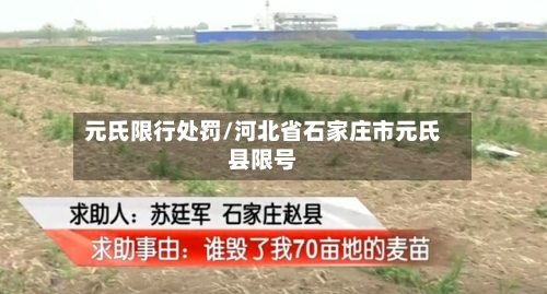 元氏限行处罚/河北省石家庄市元氏县限号-第3张图片