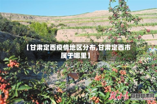 【甘肃定西疫情地区分布,甘肃定西市属于哪里】
