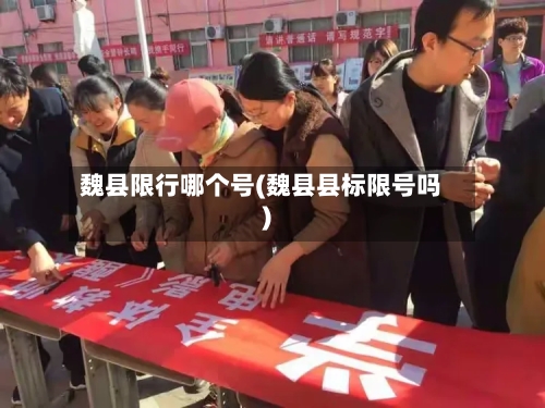 魏县限行哪个号(魏县县标限号吗)
