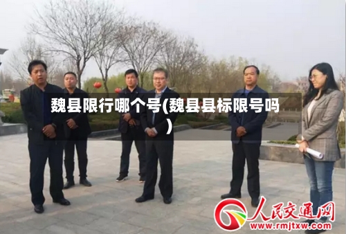 魏县限行哪个号(魏县县标限号吗)-第3张图片