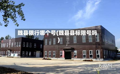魏县限行哪个号(魏县县标限号吗)-第2张图片