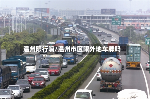 温州限行嘛/温州市区限外地车牌吗-第2张图片