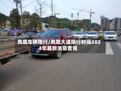 凤凰车辆限行/凤凰大道限行时间2024年最新消息查询-第3张图片