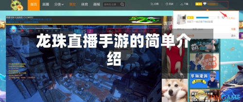 龙珠直播手游的简单介绍