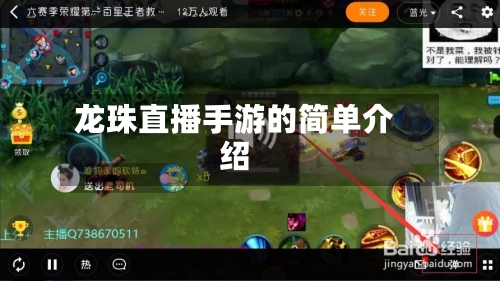 龙珠直播手游的简单介绍-第3张图片