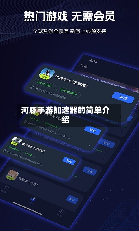 河豚手游加速器的简单介绍
