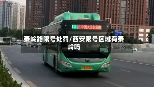 秦岭路限号处罚/西安限号区域有秦岭吗