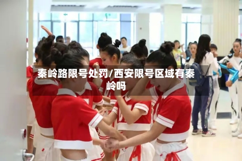 秦岭路限号处罚/西安限号区域有秦岭吗-第2张图片