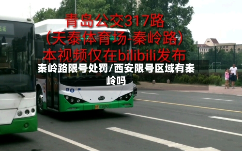秦岭路限号处罚/西安限号区域有秦岭吗-第3张图片