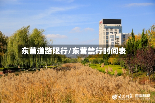 东营道路限行/东营禁行时间表