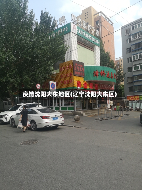疫情沈阳大东地区(辽宁沈阳大东区)